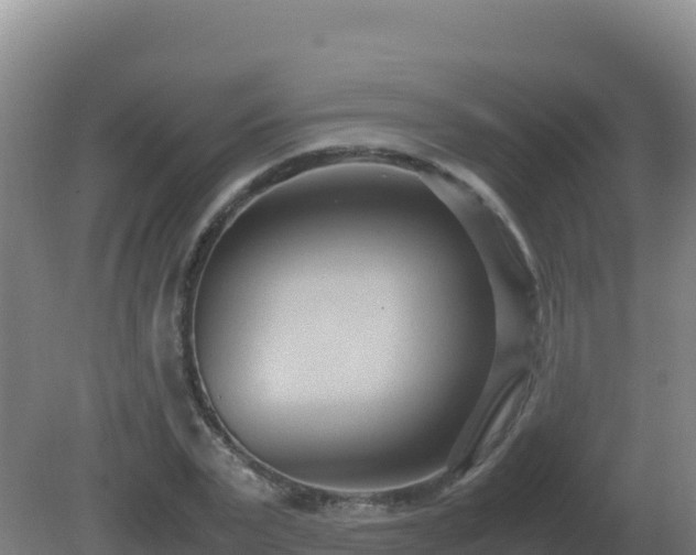 X0000081370783200701182138