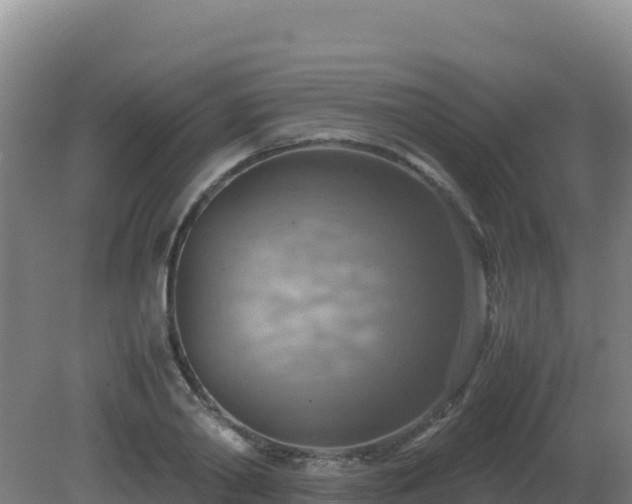 X0000081370790200701182137