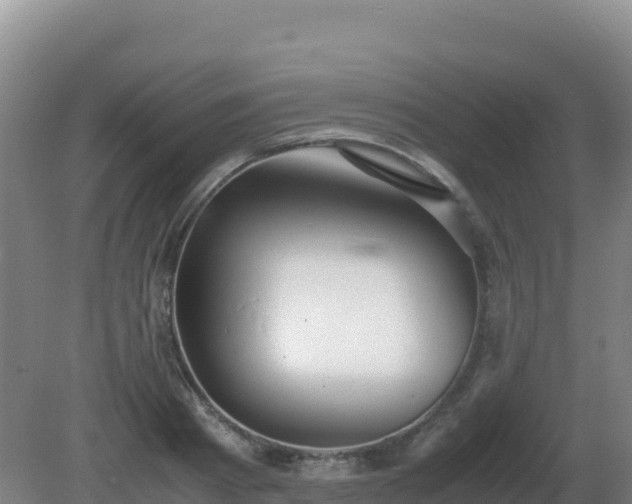 X0000081370793200701182137