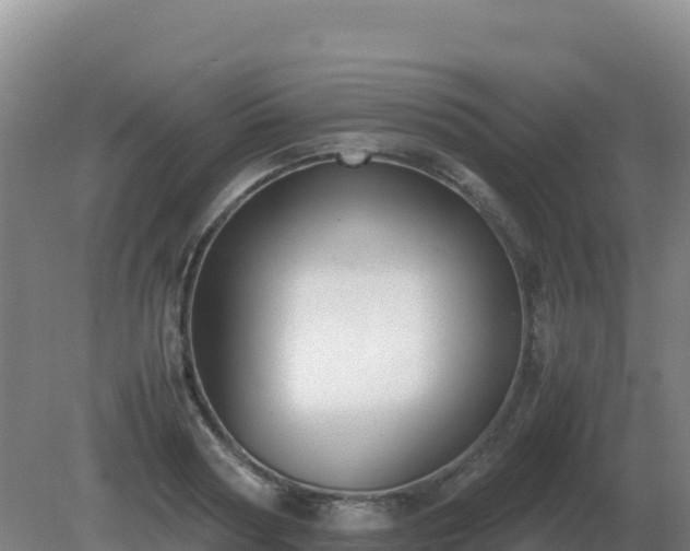 X0000081370794200701182137