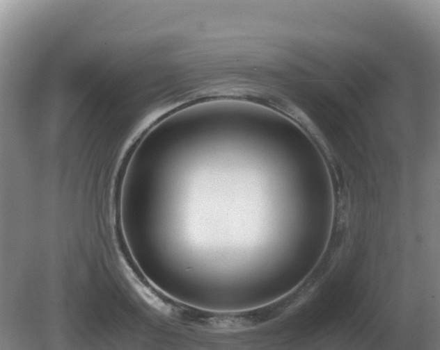 X0000081370795200701182137
