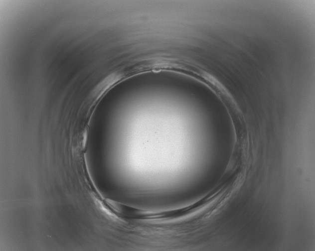 X0000081370801200701182137