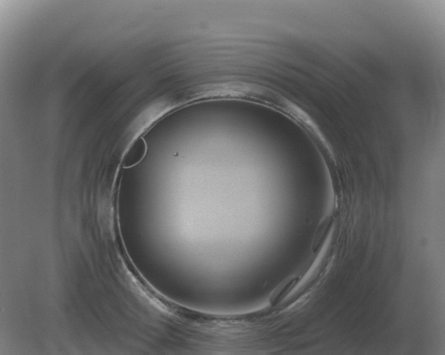 X0000081370802200701182137