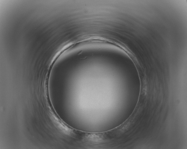 X0000081370806200701182137