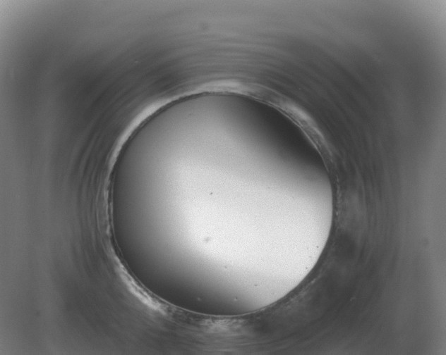 X0000081370808200701182137