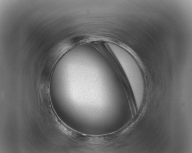 X0000081370809200701182137