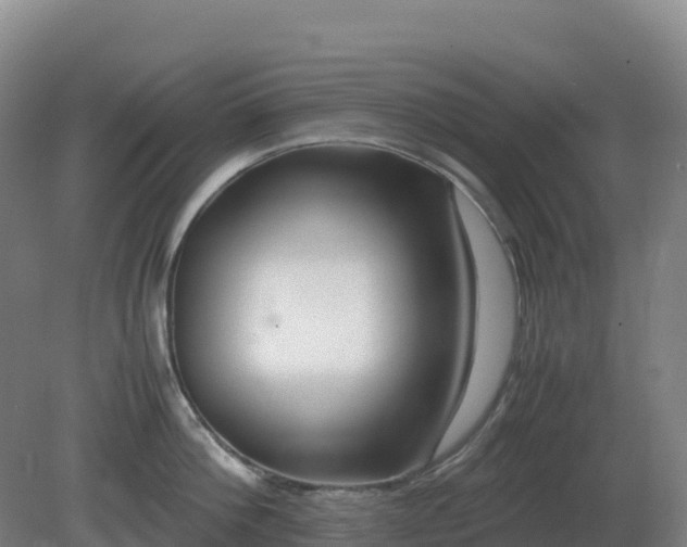 X0000081370812200701182137