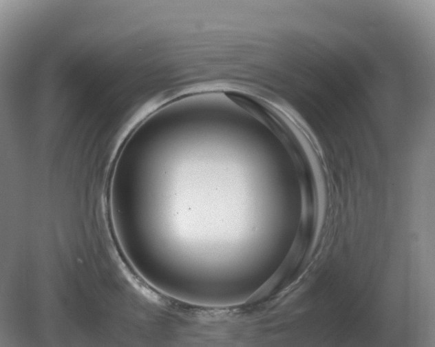 X0000081370813200701182137