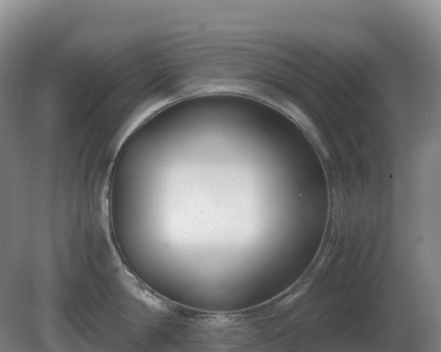 X0000081370814200701182137