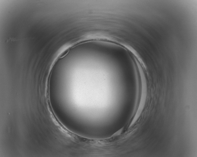 X0000081370815200701182137