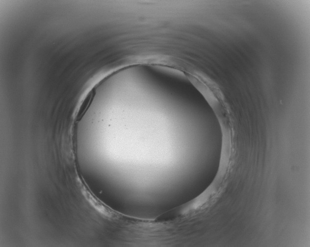 X0000081370816200701182137