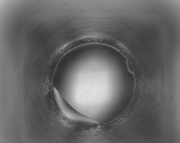X0000081370822200701182136