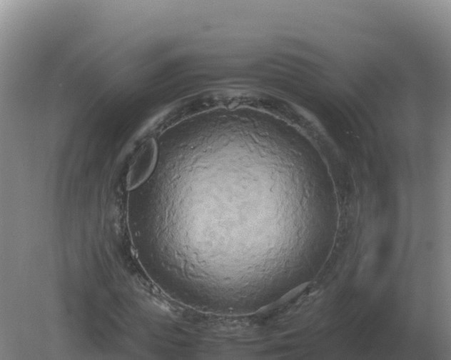 X0000081370823200701182136