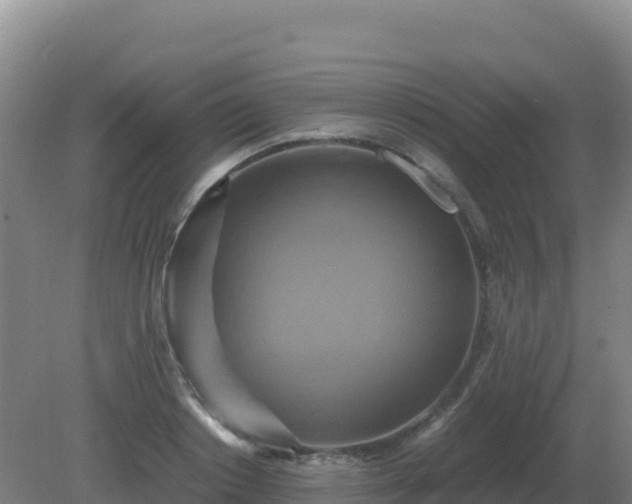 X0000081370842200701182137