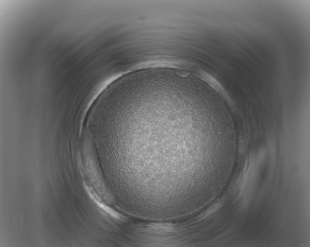 X0000081370844200701182137