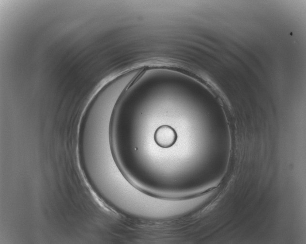 X0000081370845200701182137