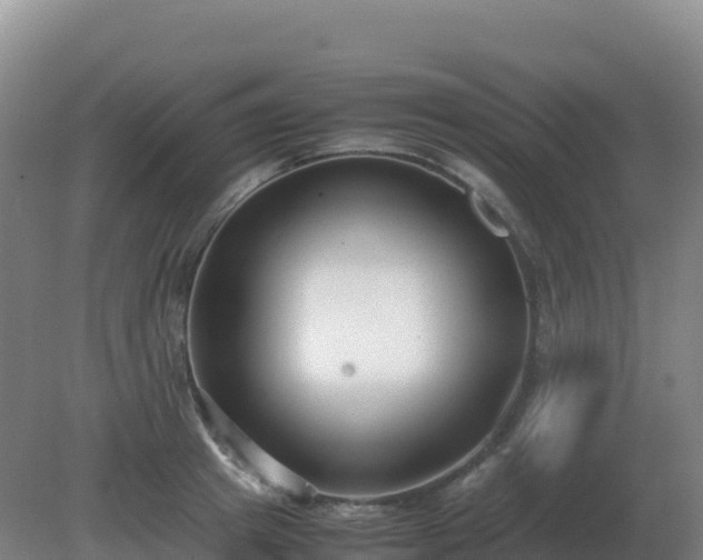 X0000081370849200701182137