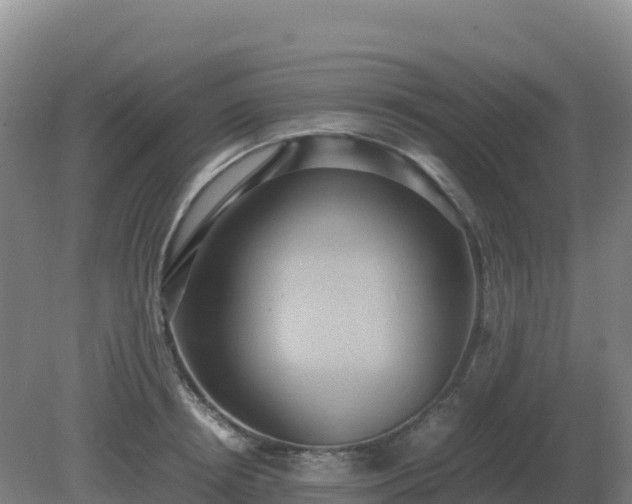 X0000081370850200701182137