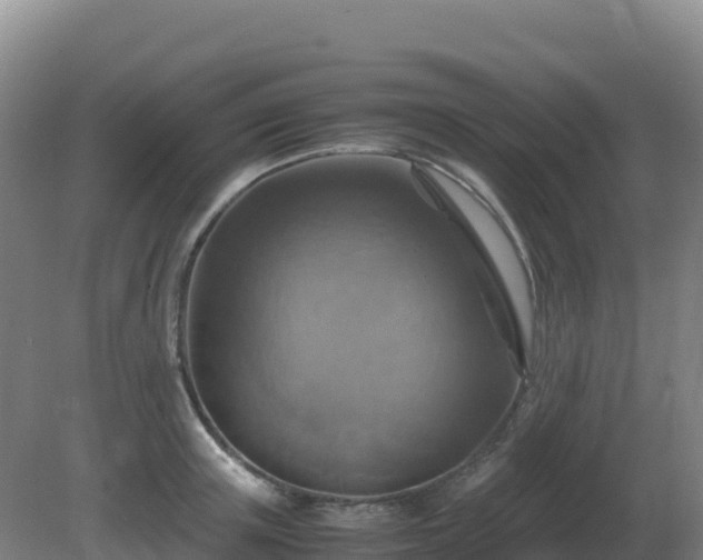 X0000081370851200701182137