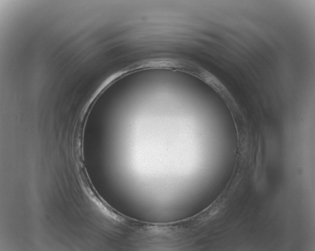 X0000081370852200701182137