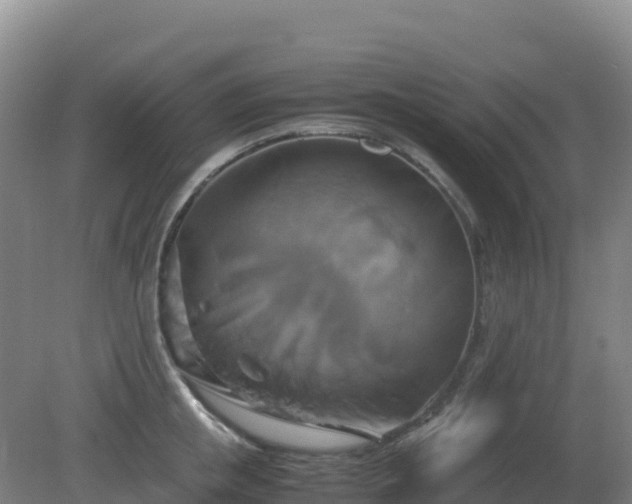 X0000081370853200701182137