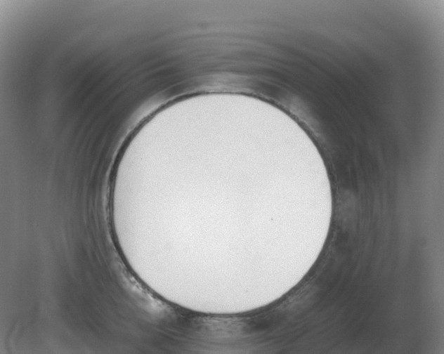 X0000081370856200701182137