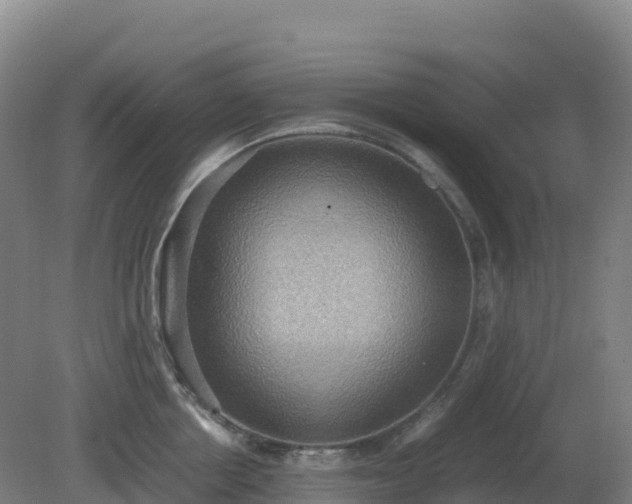 X0000081370858200701182137