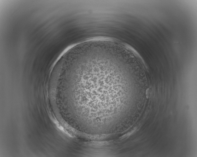 X0000081370860200701182137