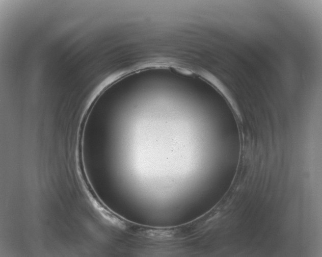 X0000081370861200701182137