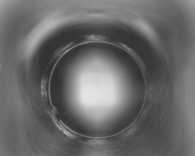 X0000081370862200701182137
