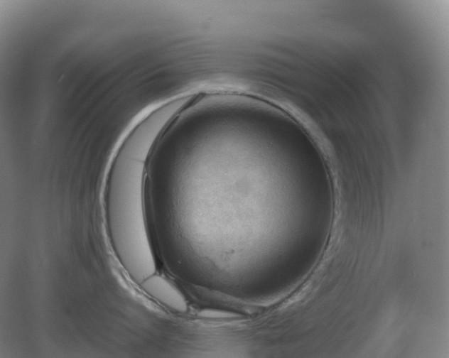 X0000081370864200701182137