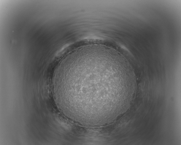 X0000081370870200701182136