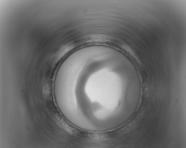 X0000081370874200701182136