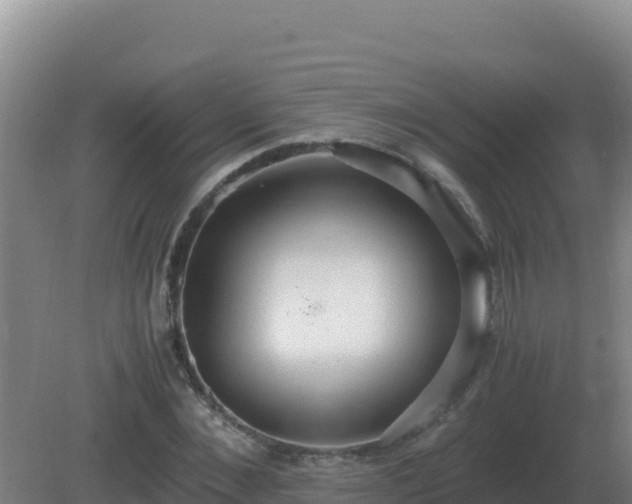 X0000081370876200701182136