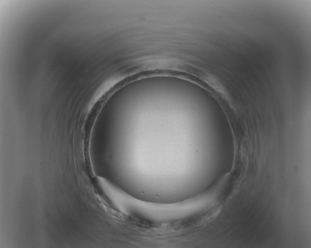 X0000081370877200701182136