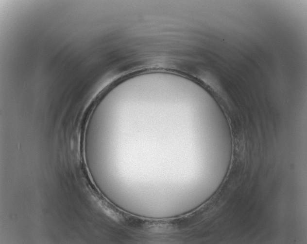 X0000081370886200701182136