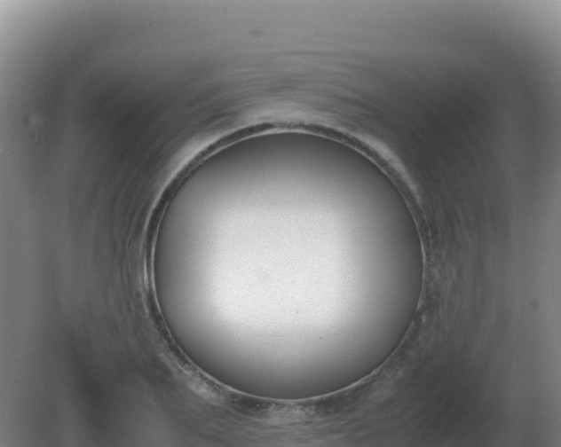X0000081370887200701182136