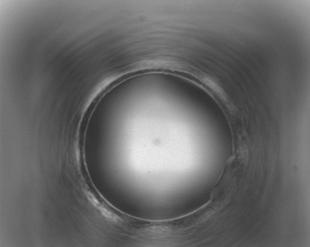 X0000081370888200701182136