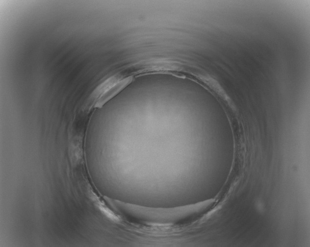 X0000081370889200701182136