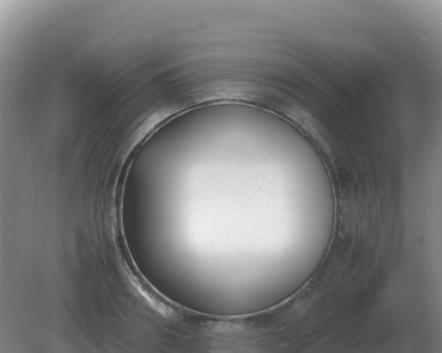 X0000081370890200701182136