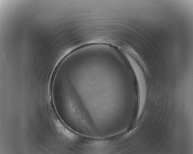 X0000081370892200701182136
