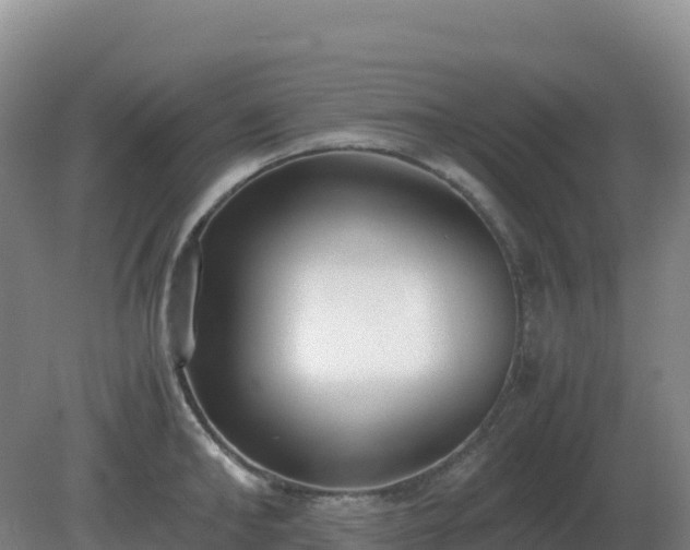 X0000081370902200701182136