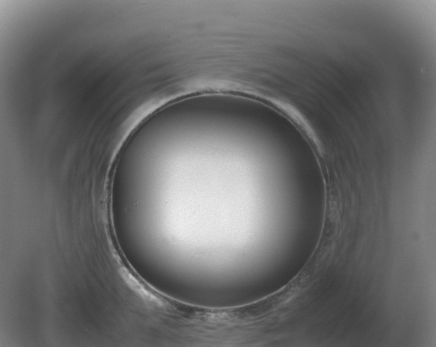 X0000081370903200701182136