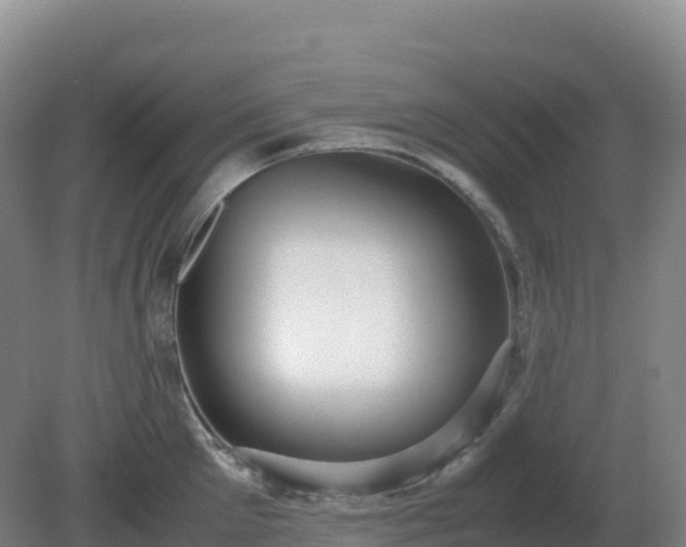 X0000081370905200701182136
