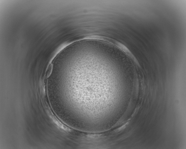 X0000081370908200701182135