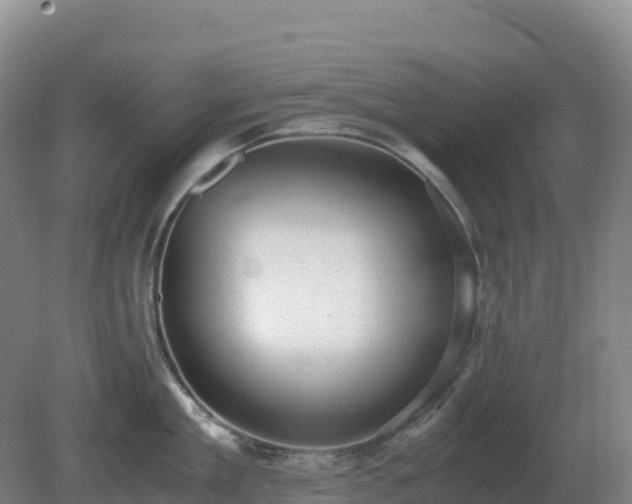 X0000081370909200701182135