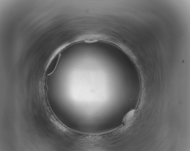 X0000081370912200701182135