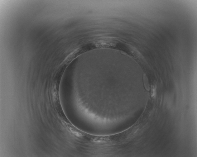 X0000081370915200701182135
