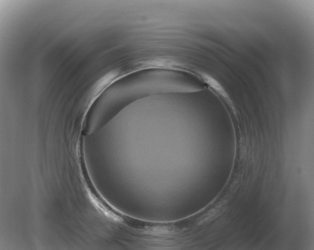 X0000081370946200701182135