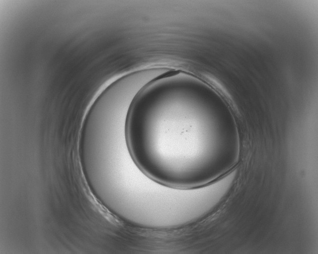 X0000081370948200701182135